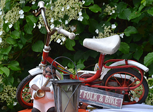 Jazz Folk Bike